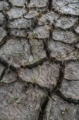 Gentle Rain Reviving Cracked Dry Soil