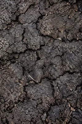 Gentle Rain of Mercy on Cracked Soil
