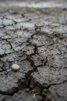 Gentle Rain Restoring Cracked Earth
