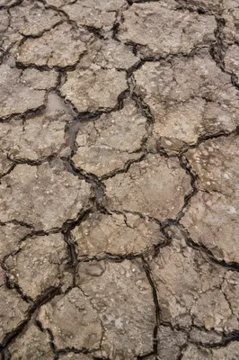 Gentle Rain Bringing Mercy to Cracked Soil