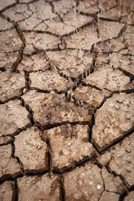 Gentle Rain Bringing Mercy to Cracked Soil