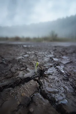 Gentle Rain Bringing Mercy to Cracked Soil