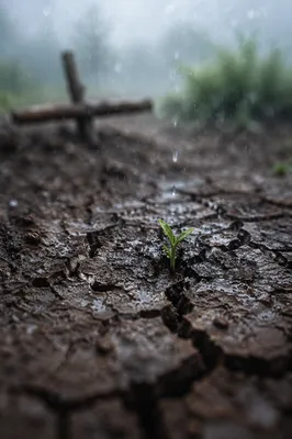 Gentle Mercy Rain on Cracked Soil