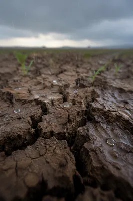 Gentle Rain on Cracked Dry Soil