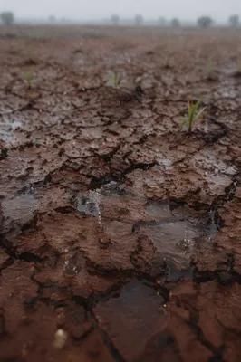 Gentle Rain on Cracked Dry Soil