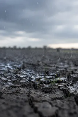 Gentle Rain on Cracked Dry Soil