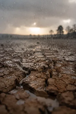 Gentle Rain on Cracked Dry Soil