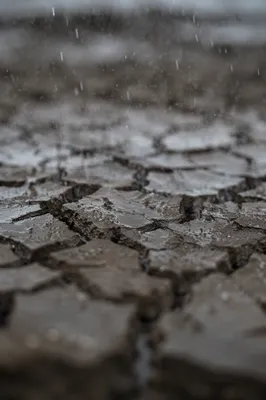 Gentle Rain Renewing Cracked Dry Soil