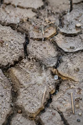 Gentle Rain of Mercy on Cracked Soil