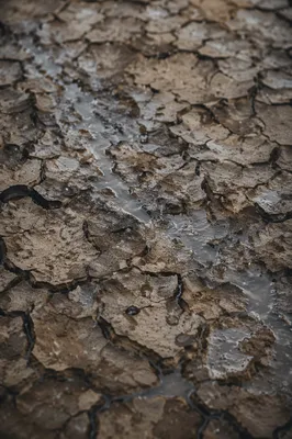 Gentle Rain Bringing Mercy to Cracked Earth