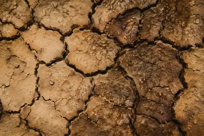 Gentle Rain of Mercy on Cracked Soil