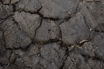 Gentle Rain Mercy on Cracked Soil