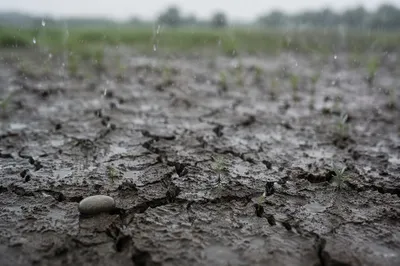 Merciful Rain Softening Cracked Earth