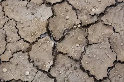 Gentle Rain Bringing Mercy to Cracked Soil
