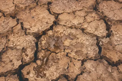 Merciful Rain on Cracked Dry Soil