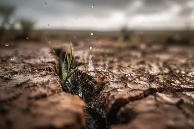 Gentle Rain of Mercy on Cracked Soil