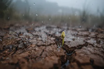Gentle Rain Bringing Mercy to Cracked Soil