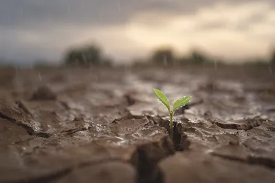 Gentle Rain Reviving Cracked Soil