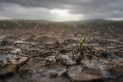 Gentle Rain of Mercy on Dry Soil