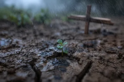 Gentle Mercy Rain on Cracked Soil
