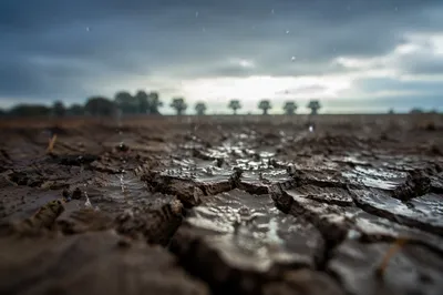 Gentle Rain on Cracked Rural Soil