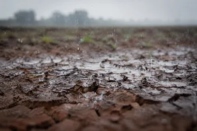 Gentle Rain on Cracked Dry Soil