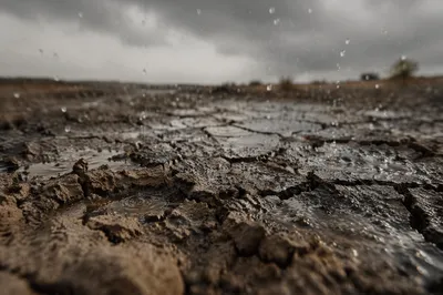 Gentle Rain on Cracked Dry Soil