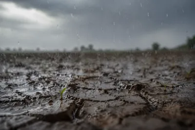 Gentle Rain on Cracked Dry Soil
