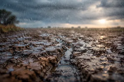 Gentle Rain on Cracked Dry Soil