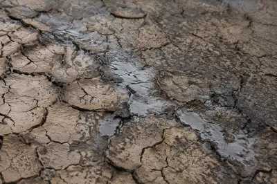 Gentle Rain Bringing Mercy to Cracked Soil