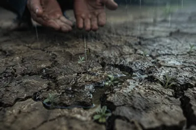 Gentle Rain Bringing Mercy to Cracked Soil