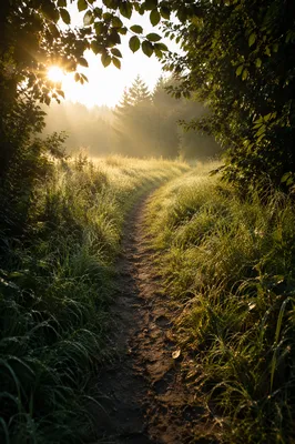 Obedient Footsteps Through a Morning Meadow