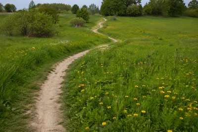 Obedient Footsteps Along a Meadow Path