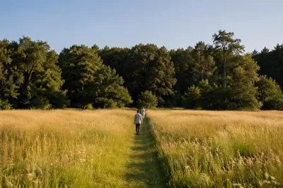Obedient Footsteps Along a Meadow Path