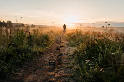 Obedient Footsteps Through Morning Meadow