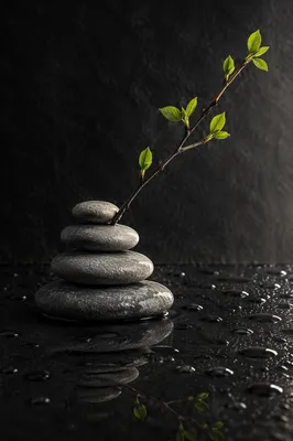 Peaceful River Stones with Green Twig