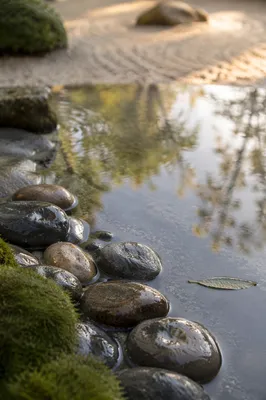 Peaceful Still Water and Zen Garden Stones