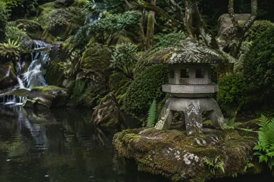 Peaceful Zen Garden by Still Water