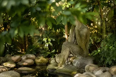 Peaceful Still Water Zen Garden Stones