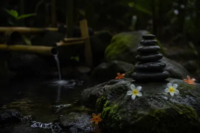 Peaceful Still Water Zen Garden Stones