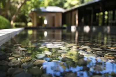 Peaceful Still Water and Garden Stones