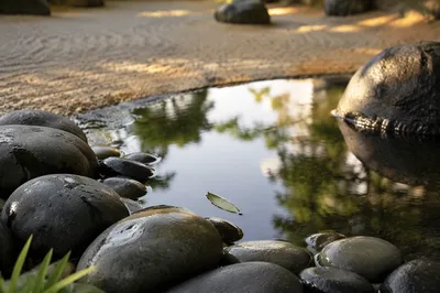 Peaceful Still Water Garden with River Stones