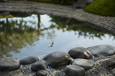 Peaceful Still Water Zen Garden