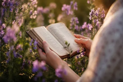Peaceful Scripture Reading in a Sunlit Garden