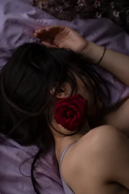 Peaceful Rest with Rose at Dusk