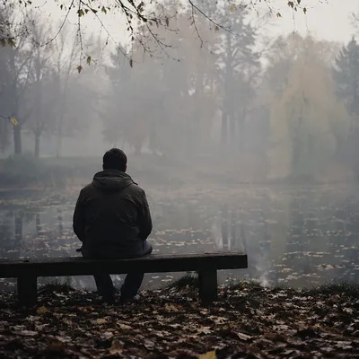 Solitary Reflection on Misty Park Bench
