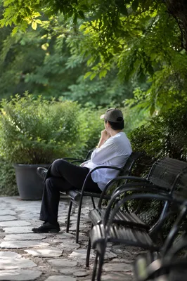 Solitary Contemplation on Park Bench
