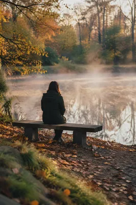 Solitary Bench Reflection by Misty Pond