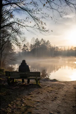 Solitary Bench Contemplation by Misty Lake