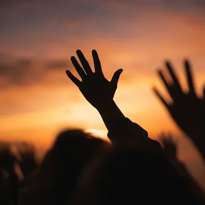Raised Praise Hands at Golden Sunset